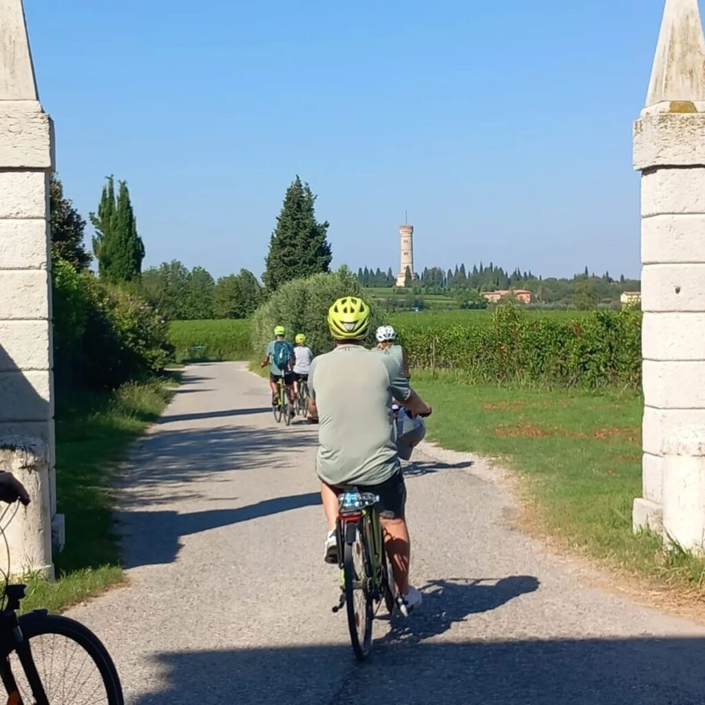 Tour in bicicletta Lago di Garda